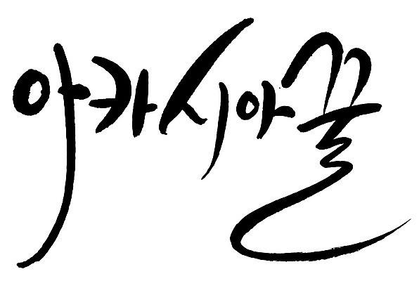 문자 손글씨 음식 일러스트 캘리그라피 타이포그라피 글자캘리그라피 한글 사람없음 단어 꿀 아카시아 국내일러스트 AI파일 나무 파일형식 벡터