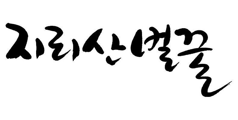 문자 손글씨 음식 일러스트 캘리그라피 타이포그라피 글자캘리그라피 한글 사람없음 단어 벌꿀 지리산 국내일러스트 AI파일 산 꿀 산청 파일형식 벡터