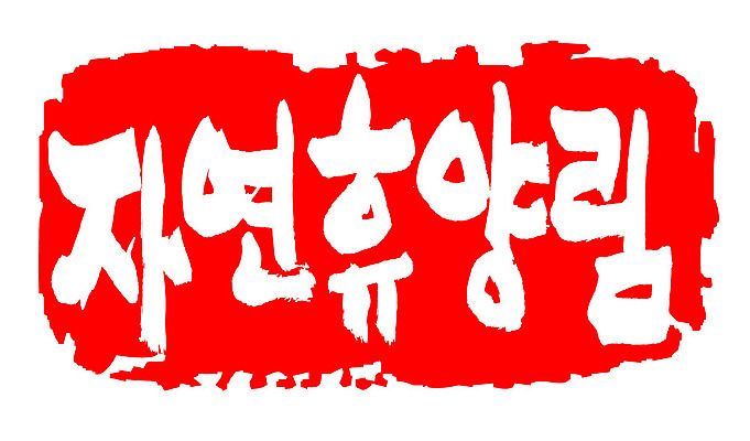 문자 손글씨 문장 컬러 백그라운드 일러스트 캘리그라피 프레임 틀 타이포그라피 글자캘리그라피 한글 사람없음 빨간색 도장 자연휴양림 지명 국내일러스트 AI파일 휴양림 파일형식 벡터