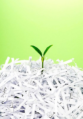 포토 JPG 스튜디오촬영 식물 사계절 계절 종이 조각 잎 자연 실내 사람없음 쌓기 새싹 환경 여러개 봄 슬라이스 분쇄기 분쇄 폐지 국내포토 다수 모션 내부 생태계 파일형식