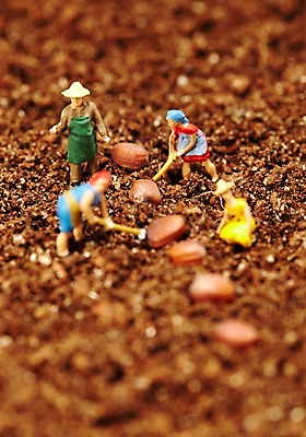 포토 JPG 스튜디오촬영 사계절 계절 자연 실내 씨앗 근접촬영 사람없음 아웃포커스 모형 농사 흙 봄 미니어처 피규어 농부 배양토 국내포토 식물 직업 뷰포인트 농업 촬영기법 내부 생태계 파일형식