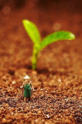 포토 JPG 스튜디오촬영 식물 사계절 계절 잎 자연 실내 근접촬영 사람없음 아웃포커스 새싹 모형 농사 흙 봄 미니어처 피규어 농부 배양토 국내포토 직업 뷰포인트 농업 촬영기법 내부 생태계 파일형식