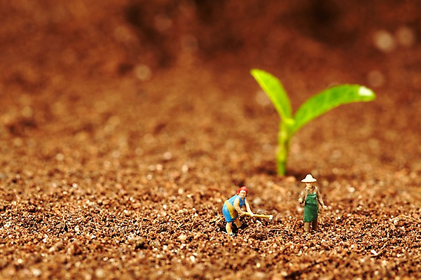 포토 JPG 스튜디오촬영 식물 사계절 계절 잎 자연 실내 근접촬영 사람없음 아웃포커스 새싹 모형 농사 흙 봄 미니어처 피규어 농부 배양토 국내포토 직업 뷰포인트 농업 촬영기법 내부 생태계 파일형식