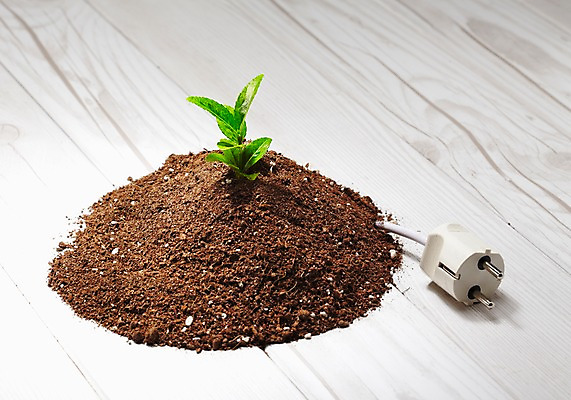 포토 JPG 스튜디오촬영 식물 사계절 계절 잎 자연 실내 사람없음 새싹 자연보호 환경 그린캠페인 흙 봄 그린에너지 플러그 코드 보호 전기에너지 사회이슈 환경보전 배양토 나무배경 국내포토 캠페인 백그라운드 컨셉 내부 에너지 생태계 파일형식