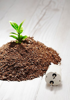 포토 JPG 스튜디오촬영 식물 사계절 계절 잎 자연 실내 사람없음 새싹 자연보호 환경 그린캠페인 흙 봄 그린에너지 플러그 코드 보호 전기에너지 사회이슈 환경보전 배양토 나무배경 국내포토 캠페인 백그라운드 컨셉 내부 에너지 생태계 파일형식