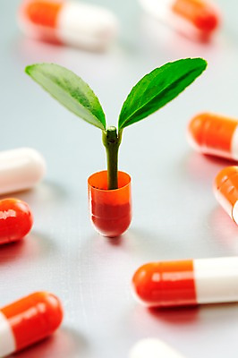 포토 JPG 스튜디오촬영 식물 사계절 계절 잎 의학 자연 실내 사람없음 아웃포커스 알약 약 새싹 봄 국내포토 촬영기법 내부 생태계 파일형식