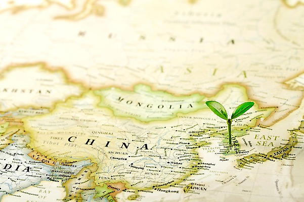 포토 JPG 스튜디오촬영 식물 사계절 계절 잎 세계지도 지도 자연 실내 사람없음 아웃포커스 새싹 봄 국내포토 촬영기법 내부 세계 생태계 파일형식