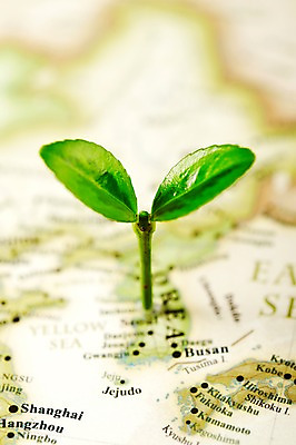 포토 JPG 스튜디오촬영 식물 사계절 계절 잎 세계지도 지도 자연 실내 근접촬영 사람없음 아웃포커스 새싹 봄 국내포토 뷰포인트 촬영기법 내부 세계 생태계 파일형식