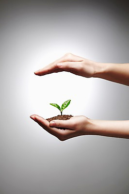 포토 JPG 스튜디오촬영 식물 손 사계절 계절 잎 자연 실내 한명 손짓 신체부위 새싹 흙 봄 원예 손모으기 팔 배양토 줄리아페페 국내포토 1 모션 사람 취미 내부 생태계 파일형식