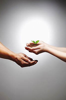 포토 JPG 스튜디오촬영 식물 손 사계절 계절 잎 자연 실내 사람 손짓 두명 신체부위 새싹 흙 봄 원예 손모으기 팔 배양토 국내포토 모션 취미 내부 생태계 파일형식