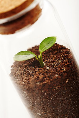 포토 JPG 스튜디오촬영 식물 사계절 계절 잎 자연 유리병 실내 근접촬영 사람없음 새싹 흙 봄 뚜껑 병 담기 배양토 국내포토 식기 뷰포인트 모션 병_용기 내부 생태계 파일형식