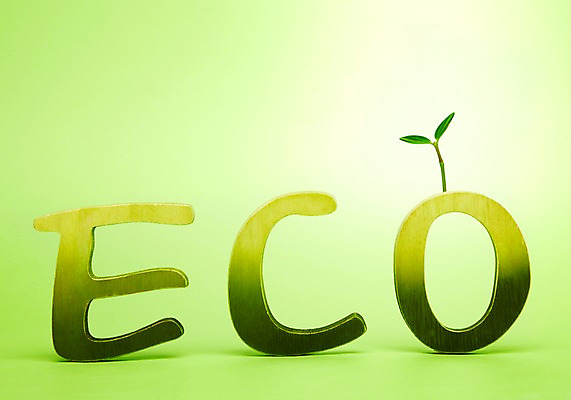 포토 JPG 스튜디오촬영 식물 문자 알파벳 영어 사계절 계절 컬러 잎 자연 대문자 실내 사람없음 초록색 단어 새싹 자연보호 환경 그린캠페인 봄 그린에너지 보호 사회이슈 환경보전 에코 줄리아페페 국내포토 캠페인 컨셉 내부 에너지 생태계 파일형식