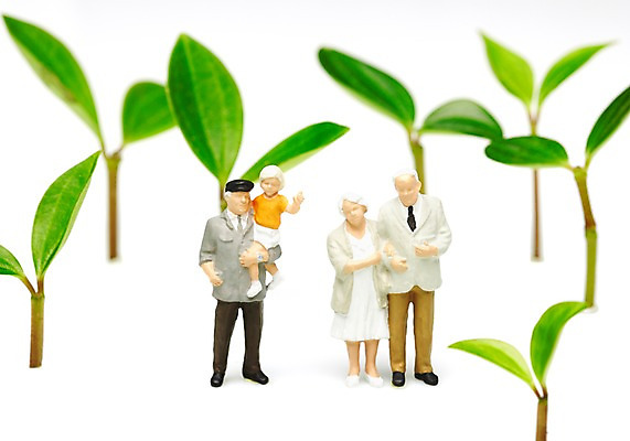 포토 JPG 스튜디오촬영 식물 사계절 계절 잎 가족 자연 실내 누끼 근접촬영 사람없음 새싹 모형 봄 미니어처 피규어 줄리아페페 국내포토 뷰포인트 관계 내부 생태계 파일형식