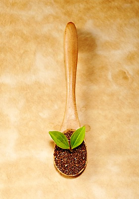 포토 JPG 스튜디오촬영 식물 사계절 계절 생활용품 잎 자연 주방용품 실내 사람없음 목재 하이앵글 새싹 숟가락 흙 봄 도구 나무숟가락 배양토 나무스푼 줄리아페페 국내포토 나무 뷰포인트 재료 수저 내부 오브젝트 생태계 파일형식