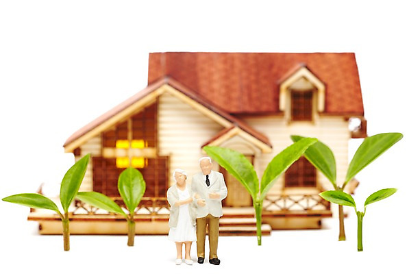 포토 JPG 스튜디오촬영 식물 건축물 사계절 계절 잎 가족 자연 주택 실내 누끼 근접촬영 사람없음 건물 아웃포커스 새싹 모형 봄 미니어처 피규어 줄리아페페 국내포토 건축 뷰포인트 관계 촬영기법 내부 생태계 파일형식