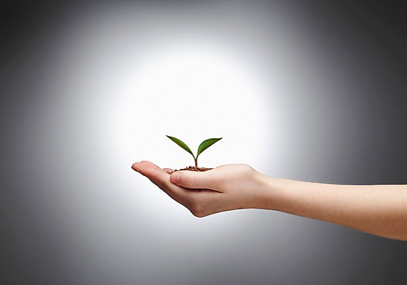 포토 JPG 스튜디오촬영 식물 손 사계절 계절 잎 자연 실내 한명 사람 손짓 신체부위 새싹 흙 봄 손모으기 팔 배양토 줄리아페페 국내포토 1 모션 내부 생태계 파일형식