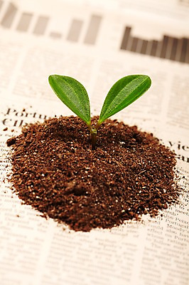 포토 JPG 스튜디오촬영 식물 사계절 계절 잎 자연 실내 근접촬영 사람없음 아웃포커스 새싹 흙 봄 신문 영자신문 흙더미 배양토 줄리아페페 국내포토 뷰포인트 촬영기법 내부 간행물 뉴스 생태계 파일형식 더미