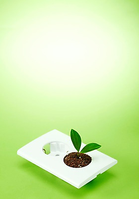 포토 JPG 스튜디오촬영 식물 사계절 계절 잎 자연 실내 사람없음 새싹 자연보호 환경 그린캠페인 흙 봄 그린에너지 콘센트 플러그 보호 전기에너지 사회이슈 환경보전 배양토 줄리아페페 국내포토 캠페인 컨셉 내부 에너지 생태계 파일형식