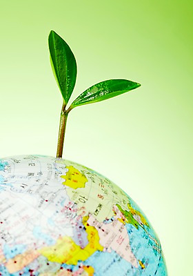 포토 JPG 스튜디오촬영 식물 사계절 계절 지구 잎 자연 실내 근접촬영 사람없음 아웃포커스 지구본 새싹 모형 봄 줄리아페페 국내포토 뷰포인트 촬영기법 내부 생태계 파일형식