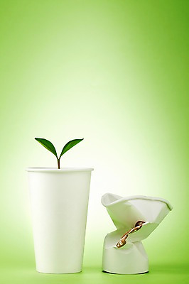 포토 JPG 스튜디오촬영 식물 사계절 계절 잎 자연 실내 사람없음 컵 새싹 자연보호 환경 그린캠페인 봄 그린에너지 보호 종이컵 일회용 사회이슈 환경보전 구김 국내포토 식기 캠페인 컨셉 모션 내부 에너지 생태계 파일형식