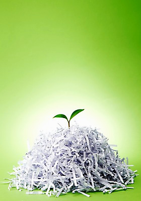 포토 JPG 스튜디오촬영 식물 사계절 계절 종이 조각 잎 자연 실내 사람없음 쌓기 새싹 환경 여러개 봄 슬라이스 분쇄기 분쇄 줄리아페페 폐지 국내포토 다수 모션 내부 생태계 파일형식