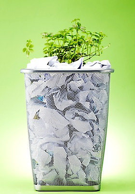 포토 JPG 스튜디오촬영 식물 사계절 계절 종이 잎 자연 실내 사람없음 새싹 자연보호 그린캠페인 봄 쓰레기통 그린에너지 보호 쓰레기 사회이슈 환경보전 담기 구김 슈가바인 국내포토 캠페인 컨셉 모션 내부 에너지 생태계 파일형식