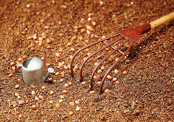 포토 JPG 스튜디오촬영 사계절 계절 자연 실내 씨앗 근접촬영 사람없음 농사 흙 봄 미니어처 물뿌리개 도구 공구 농기구 배양토 갈퀴 국내포토 식물 뷰포인트 농업 내부 모형 생태계 파일형식