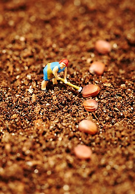 포토 JPG 스튜디오촬영 식물 사계절 계절 자연 실내 씨앗 근접촬영 사람없음 아웃포커스 모형 농사 흙 봄 미니어처 피규어 농부 배양토 국내포토 직업 뷰포인트 농업 촬영기법 내부 생태계 파일형식