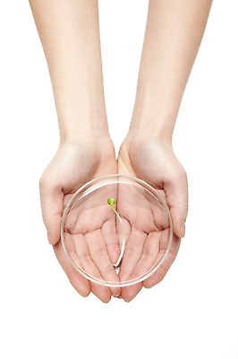 포토 JPG 스튜디오촬영 식물 손 사계절 계절 잎 자연 실내 한명 누끼 사람 손짓 신체부위 하이앵글 새싹 봄 무순 손모으기 팔 샬레 국내포토 1 뷰포인트 모션 실험기구 내부 생태계 새싹채소 파일형식