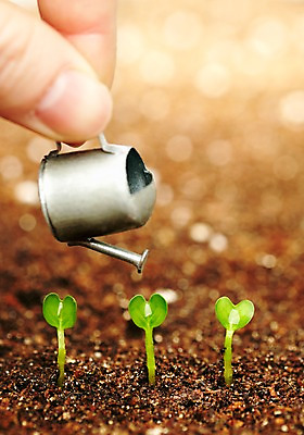 포토 JPG 스튜디오촬영 식물 사계절 계절 잎 자연 실내 한명 사람 손짓 근접촬영 아웃포커스 신체부위 새싹 흙 봄 미니어처 물뿌리개 도구 원예 무순 팔 배양토 가꾸기 식물키우기 국내포토 1 뷰포인트 모션 촬영기법 취미 내부 모형 생태계 새싹채소 파일형식