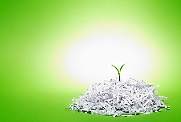 포토 JPG 스튜디오촬영 식물 사계절 계절 종이 조각 잎 자연 실내 사람없음 쌓기 새싹 환경 여러개 봄 슬라이스 분쇄기 분쇄 폐지 국내포토 다수 모션 내부 생태계 파일형식