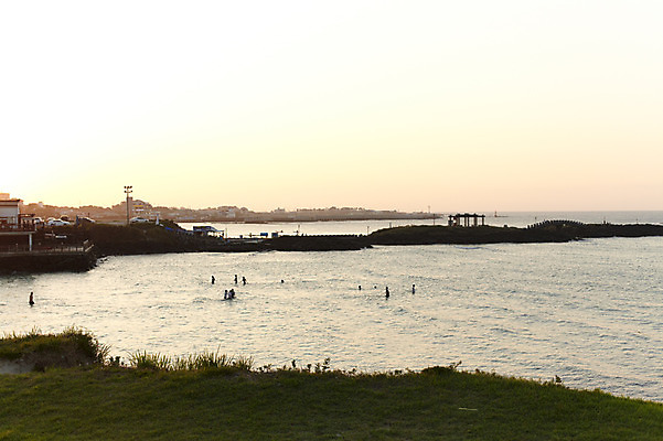 포토 JPG 주간 바다 자연 물놀이 한국 함께함 사람 풍경 잔디 여러명 해변 야외 제주도 노을 화목 일몰 상쾌 함덕해수욕장 국내포토 자연요소 식물 감정 아시아 다수 컨셉 놀이 해수욕장 생태계 함덕 파일형식