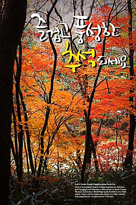 PSD 나무 식물 편집이미지 문자 손글씨 명절 캘리배경 백그라운드 캘리편집 캘리그라피 타이포그라피 글자캘리그라피 한글 사람없음 단어 추석 이미지편집 전통 기념일 파일형식