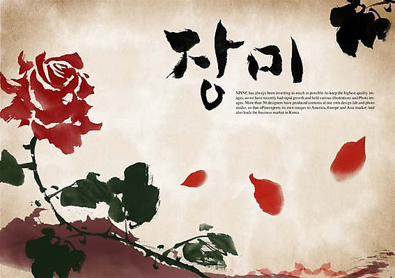 PSD 식물 편집이미지 문자 손글씨 꽃 캘리배경 백그라운드 캘리편집 캘리그라피 타이포그라피 글자캘리그라피 한글 사람없음 단어 장미 이미지편집 파일형식