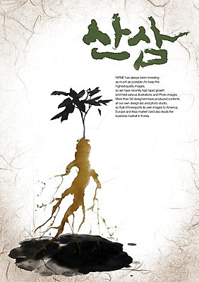 PSD 식물 편집이미지 문자 손글씨 캘리배경 백그라운드 캘리편집 캘리그라피 타이포그라피 글자캘리그라피 한글 사람없음 단어 약재 삼 산삼 이미지편집 채소 약 파일형식