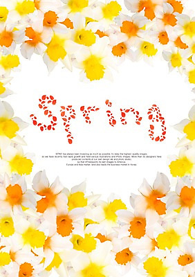 PSD 식물 편집이미지 문자 손글씨 알파벳 영어 사계절 계절 꽃잎 꽃 캘리배경 백그라운드 캘리편집 캘리그라피 풍경 타이포그라피 글자캘리그라피 사람없음 봄 이미지편집 파일형식