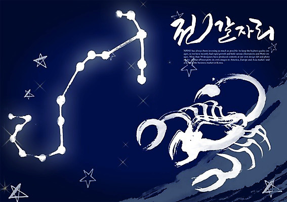 PSD 편집이미지 문자 손글씨 별 캘리배경 백그라운드 캘리편집 캘리그라피 타이포그라피 글자캘리그라피 한글 사람없음 단어 별자리 전갈 전갈자리 이미지편집 자연요소 절지류 파일형식