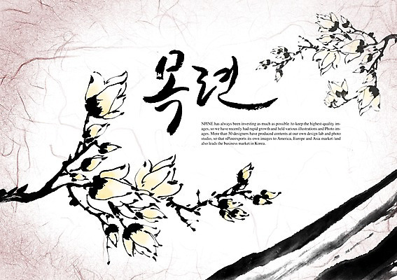 PSD 식물 편집이미지 문자 손글씨 사계절 계절 꽃 캘리배경 백그라운드 캘리편집 캘리그라피 타이포그라피 글자캘리그라피 한글 사람없음 단어 봄 목련 이미지편집 파일형식