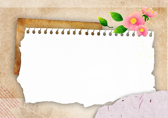 PSD 식물 배너 계절 꽃 종이 백그라운드 잎 일러스트 나뭇잎 안내 프레임 알림판 틀 풍경 사람없음 봄 알림 스케치북 찢어짐 봄배경 국내일러스트 모션 학용품 파일형식