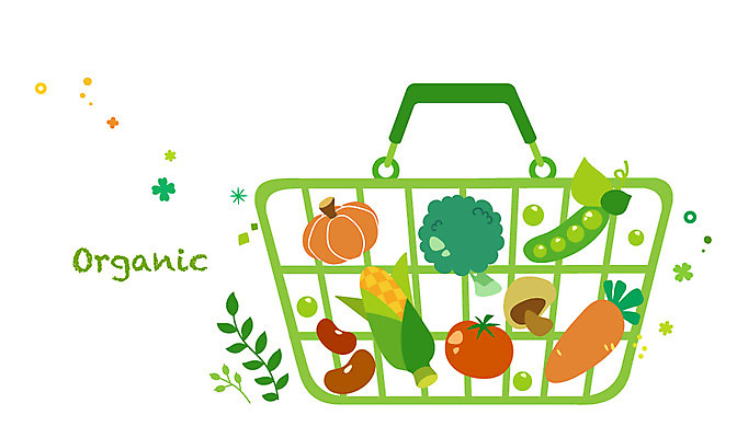 식물 잎 토마토 채소 과일 일러스트 자연 콩 옥수수 사람없음 초록색 쇼핑 장보기 바구니 환경 브로콜리 장바구니 친환경 유기농 국내일러스트 AI파일 웰빙 컬러 곡류 생태계 파일형식 벡터