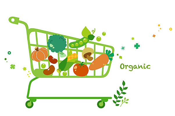 식물 잎 토마토 채소 일러스트 자연 호박 콩 옥수수 사람없음 초록색 쇼핑 장보기 환경 카트 브로콜리 친환경 유기농 국내일러스트 AI파일 웰빙 컬러 곡류 생태계 파일형식 벡터