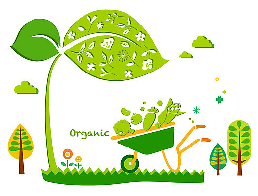 나무 식물 꽃 잎 채소 일러스트 자연 나뭇잎 옥수수 사람없음 초록색 새싹 환경 수레 당근 풀 브로콜리 친환경 유기농 국내일러스트 AI파일 웰빙 컬러 곡류 뿌리채소 카트 생태계 파일형식 벡터