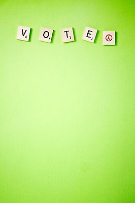 포토 JPG 스튜디오촬영 문자 알파벳 영어 백그라운드 실내 사람없음 목재 단어 도장 블록 사회 투표 선거 사회이슈 심볼 국내포토 나무 컨셉 재료 내부 민주주의 공동체 파일형식