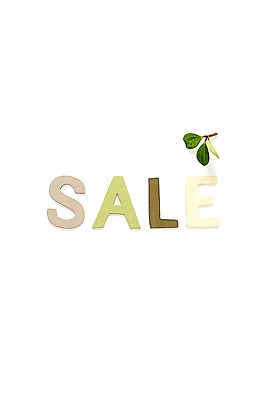 포토 JPG 스튜디오촬영 식물 문자 알파벳 영어 실내 누끼 이벤트 사람없음 단어 쇼핑 세일 블록 야생초 국내포토 내부 파일형식