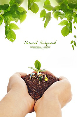 PSD 식물 편집이미지 손 모래 인형 잎 나뭇잎 한명 사람 손짓 신체부위 새싹 흙 물방울 공기방울 손모으기 사람인형 이미지편집 1 모션 파일형식