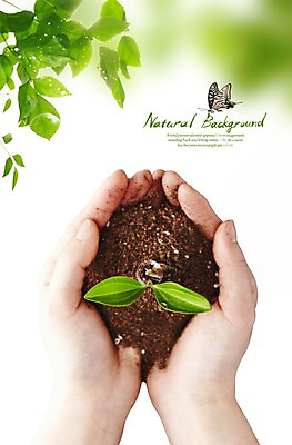 PSD 식물 동물 편집이미지 손 모래 나비 곤충 잎 나뭇잎 연체동물 한명 사람 손짓 신체부위 새싹 흙 물방울 공기방울 달팽이 손모으기 이미지편집 1 모션 무척추동물 파일형식