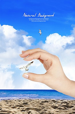 PSD 동물 구름 편집이미지 손 모래 바다 갈매기 조류 하늘 한명 사람 손짓 해변 신체부위 모래사장 이미지편집 자연요소 1 모션 파일형식
