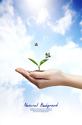 PSD 식물 동물 구름 편집이미지 손 모래 나비 곤충 잎 하늘 한명 사람 손짓 신체부위 새싹 흙 물방울 공기방울 이미지편집 자연요소 1 모션 파일형식