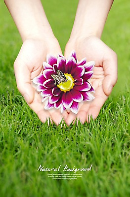 PSD 식물 동물 편집이미지 손 꽃 나비 곤충 한명 사람 손짓 잔디 초원 신체부위 물방울 풀 공기방울 손모으기 이미지편집 1 모션 파일형식