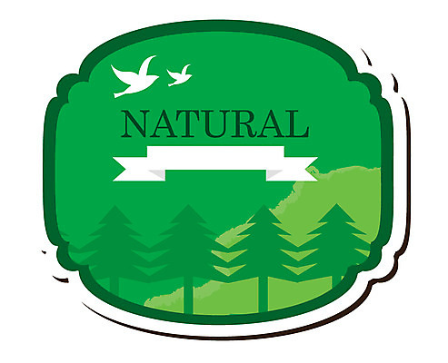 나무 식물 동물 알파벳 영어 리본 컬러 스티커 일러스트 자연 조류 사람없음 초록색 꼬리표 라벨 끈 내추럴 내츄럴 국내일러스트 AI파일 문자 프레임 생태계 파일형식 벡터